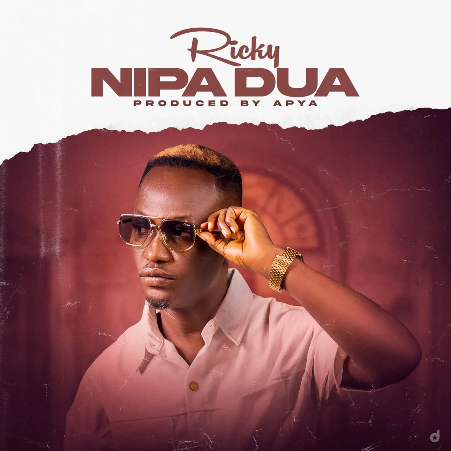 Nipa Dua cover
